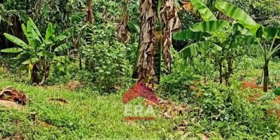 Pamulang Raya, Bambu Apus, South Tangerang